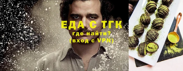 индика Балахна