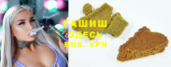 индика Балахна