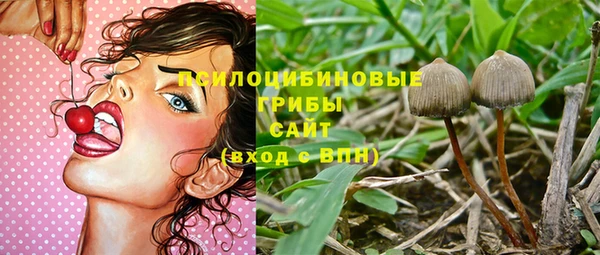 гидропоника Аркадак