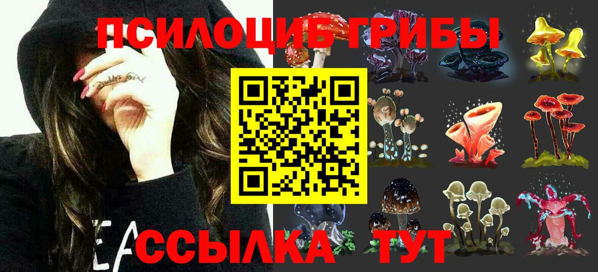 Кубинка  Псилоцибиновые грибы GOLDEN TEACHER  Псилоцибиновые грибы MAGIC MUSHROOMS  Вход с VPN 